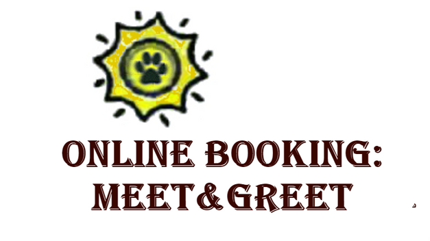 MEET&GREET TUTORIAL VIDEO
